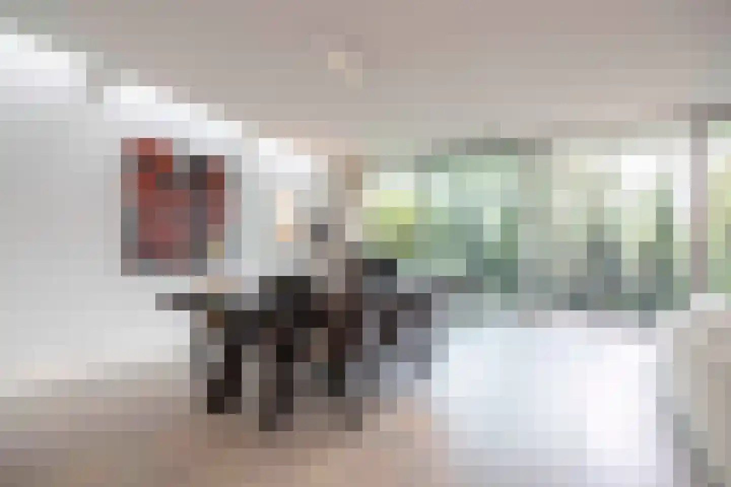 Vloeiweg 31 Oisterwijk thumbnail 15