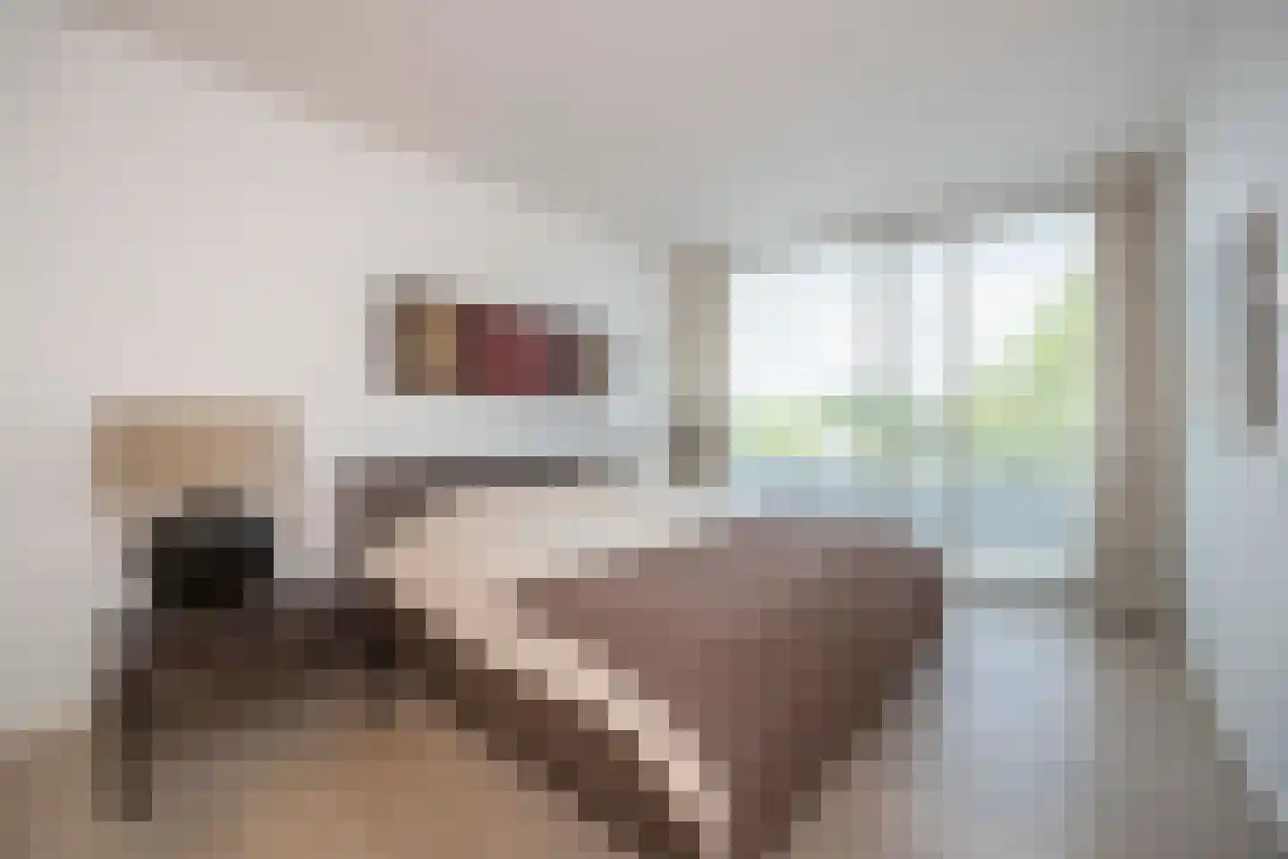 Vloeiweg 31 Oisterwijk thumbnail 25