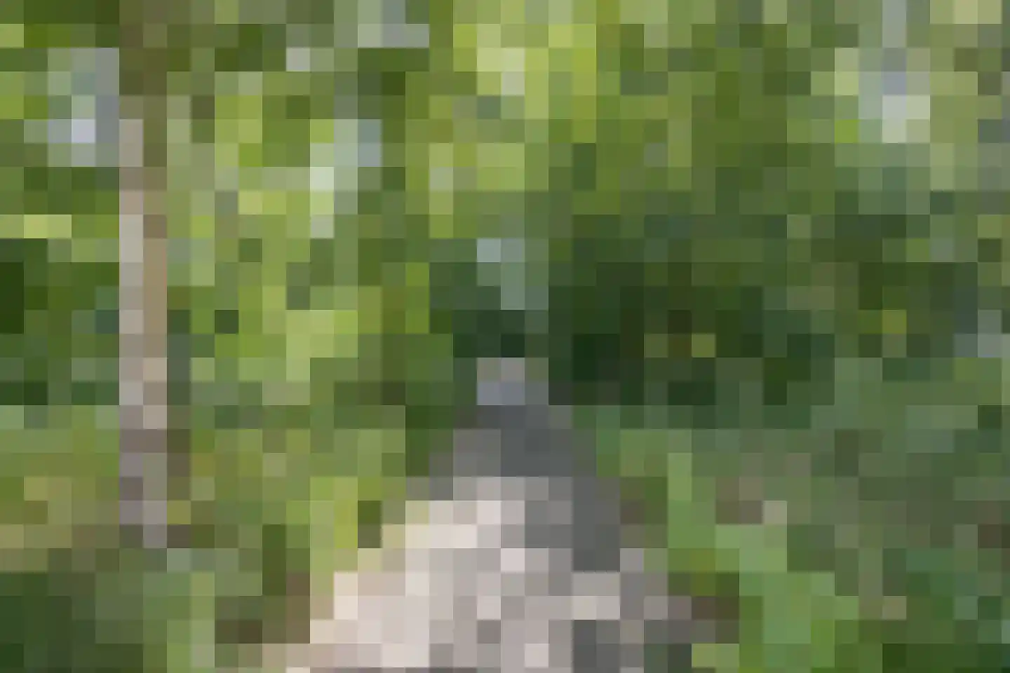 Vloeiweg 31 Oisterwijk thumbnail 34