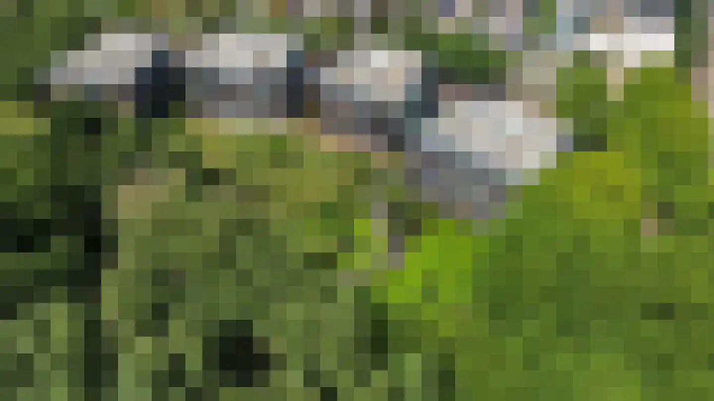 Vloeiweg 31 Oisterwijk thumbnail 38