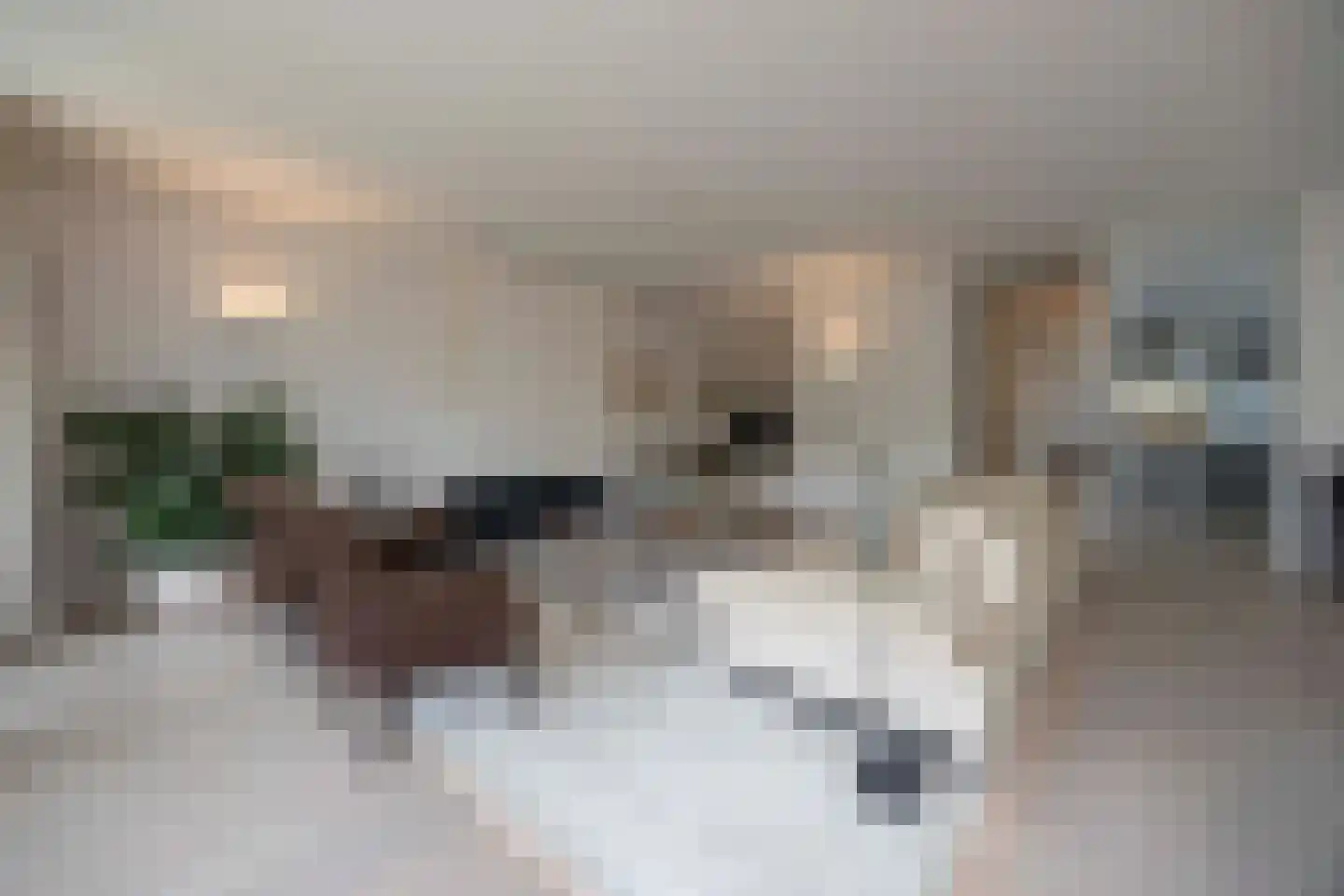 Vloeiweg 31 Oisterwijk thumbnail 9