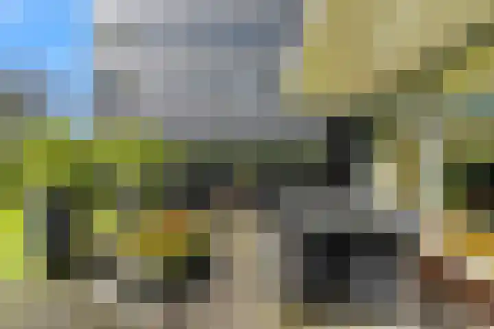 Vloeiweg 33 B Oisterwijk thumbnail 36