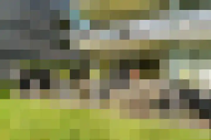 Vloeiweg 33 B Oisterwijk thumbnail 37