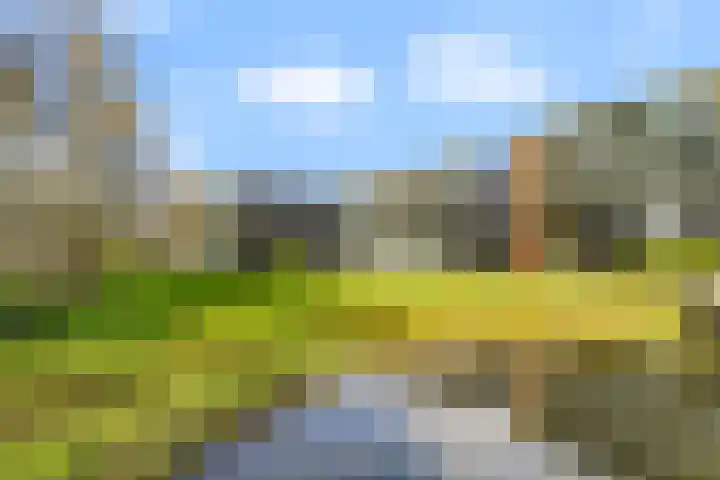 Vloeiweg 33 B Oisterwijk thumbnail 43