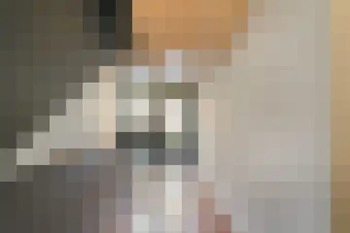 Vloeiweg 33 B Oisterwijk thumbnail 6