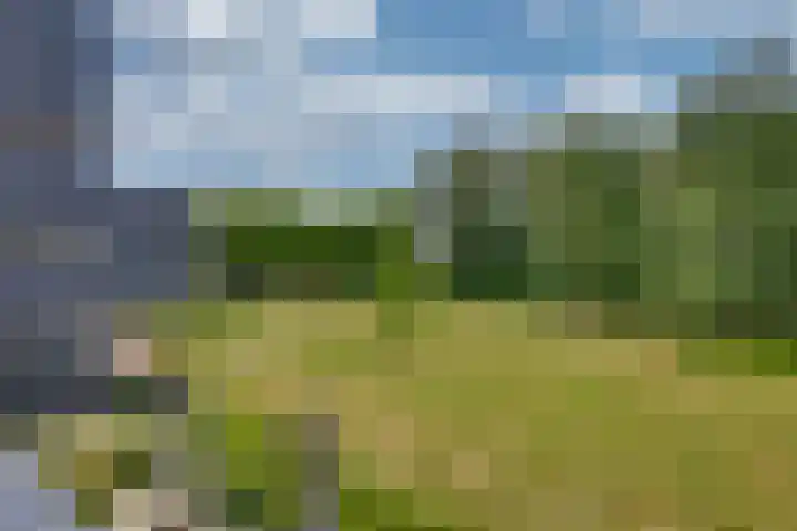 Vloeiweg 35 A Oisterwijk thumbnail 30