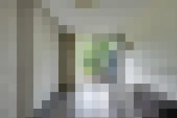 Vloeiweg 35 A Oisterwijk thumbnail 34