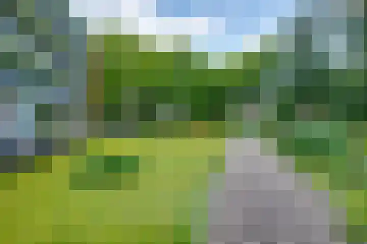 Vloeiweg 35 A Oisterwijk thumbnail 38