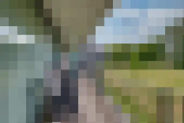 Vloeiweg 35 A Oisterwijk thumbnail 4