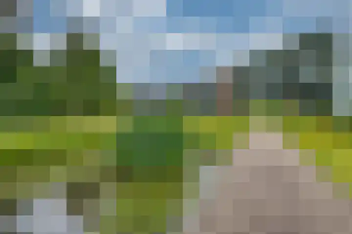 Vloeiweg 35 A Oisterwijk thumbnail 5