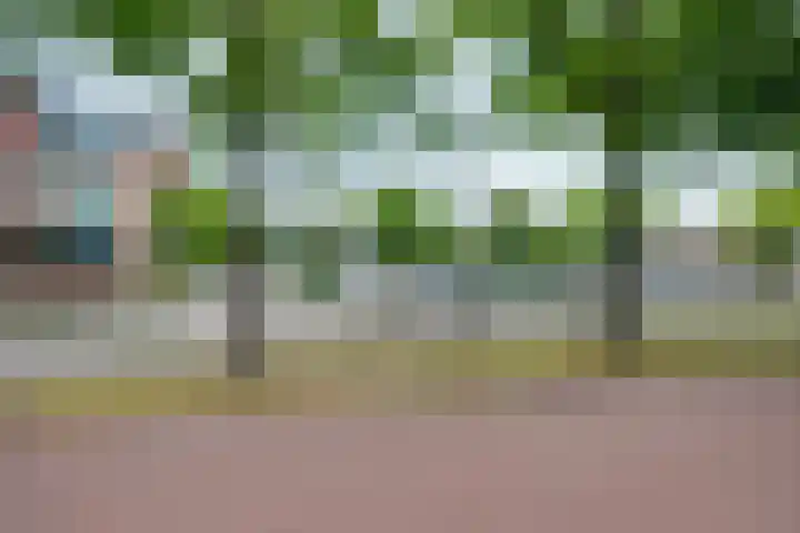 Vloeiweg 35 A Oisterwijk thumbnail 6