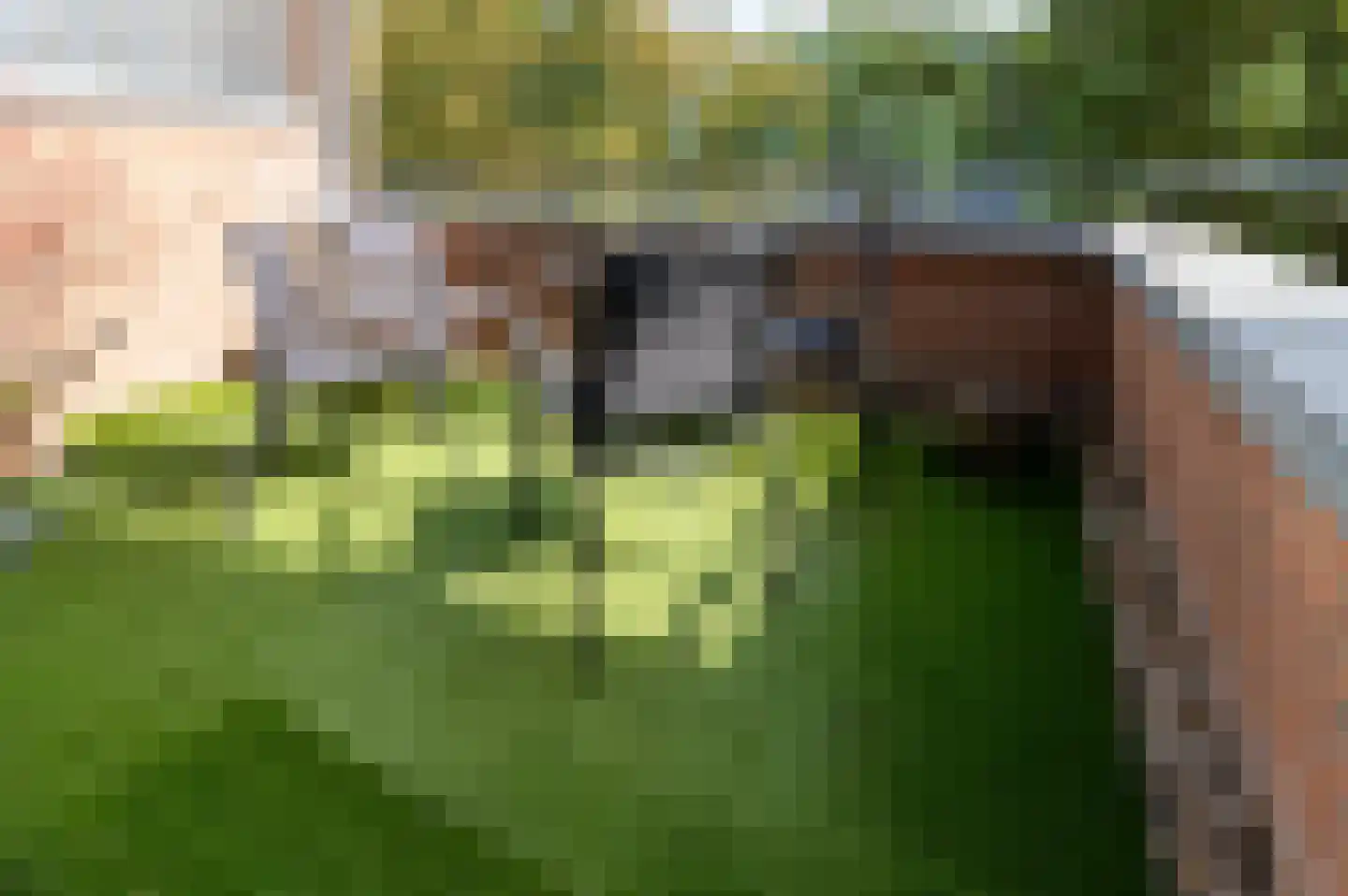 Vloeiweg 36 Oisterwijk thumbnail 9