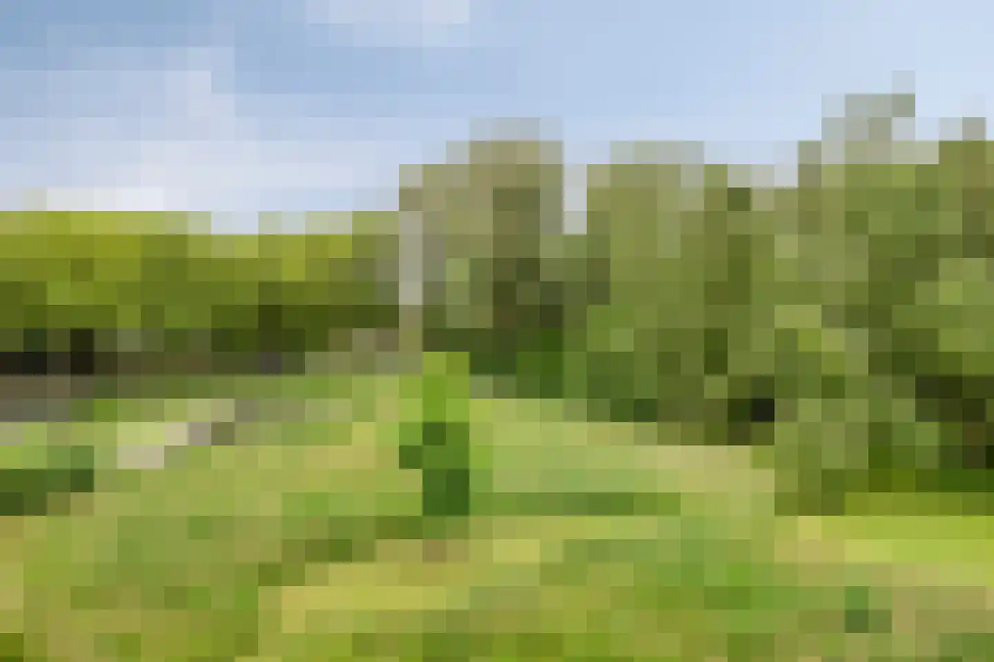 Vloeiweg 37 Oisterwijk thumbnail 32