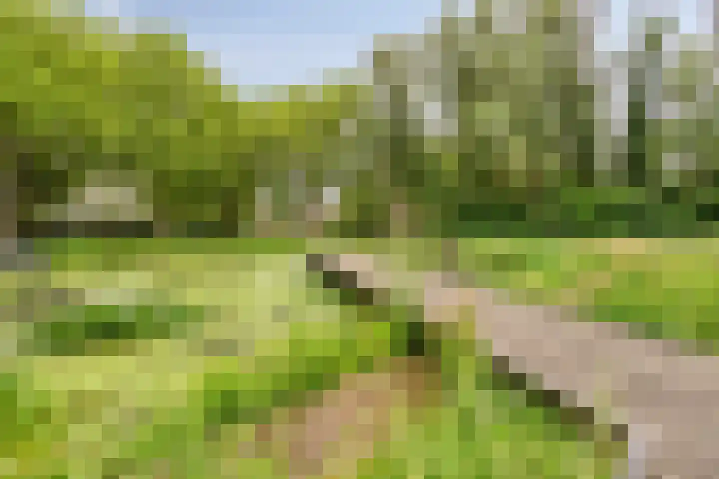 Vloeiweg 37 Oisterwijk thumbnail 40