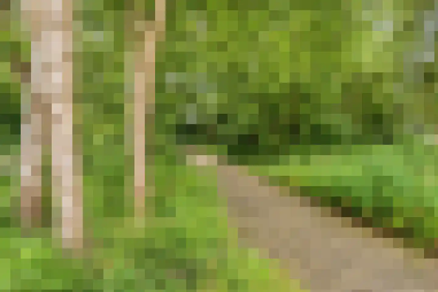 Vloeiweg 37 Oisterwijk thumbnail 41