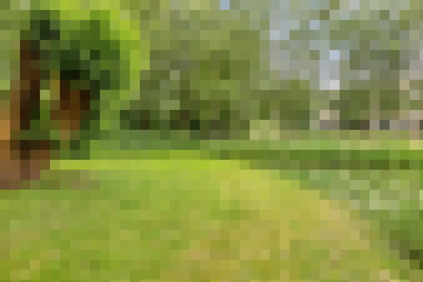 Vloeiweg 37 Oisterwijk thumbnail 42