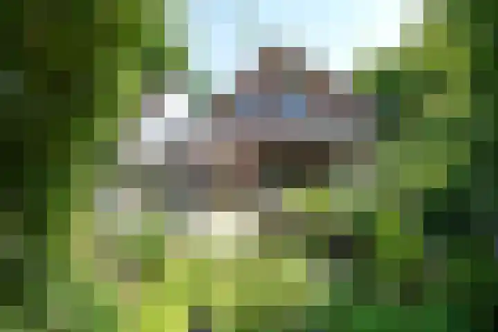 Vloeiweg 80 Oisterwijk thumbnail 19