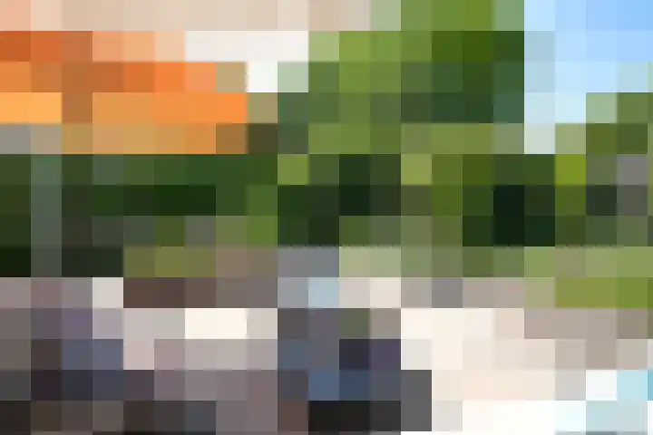 Vloeiweg 80 Oisterwijk thumbnail 20