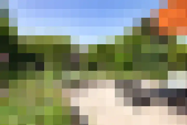 Vloeiweg 80 Oisterwijk thumbnail 22