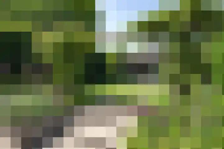 Vloeiweg 80 Oisterwijk thumbnail 28