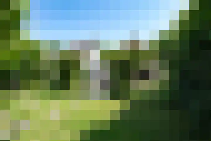 Vloeiweg 80 Oisterwijk thumbnail 29