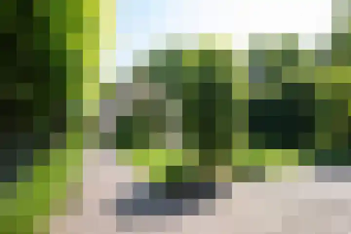 Vloeiweg 80 Oisterwijk thumbnail 30