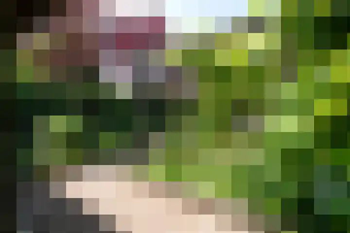 Vloeiweg 80 Oisterwijk thumbnail 31