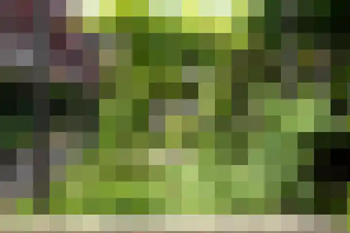 Vloeiweg 80 Oisterwijk thumbnail 32