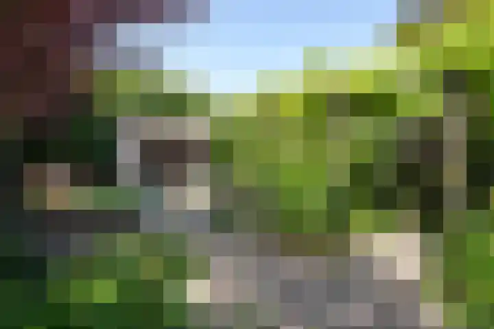 Vloeiweg 80 Oisterwijk thumbnail 33