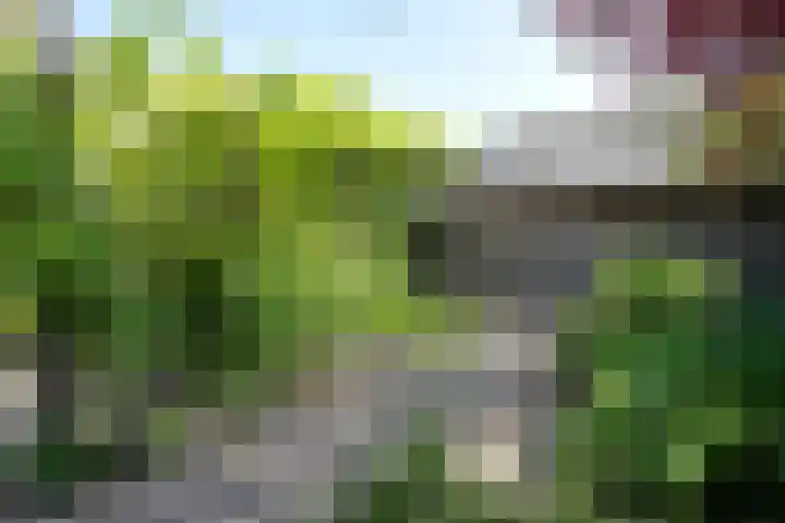 Vloeiweg 80 Oisterwijk thumbnail 34