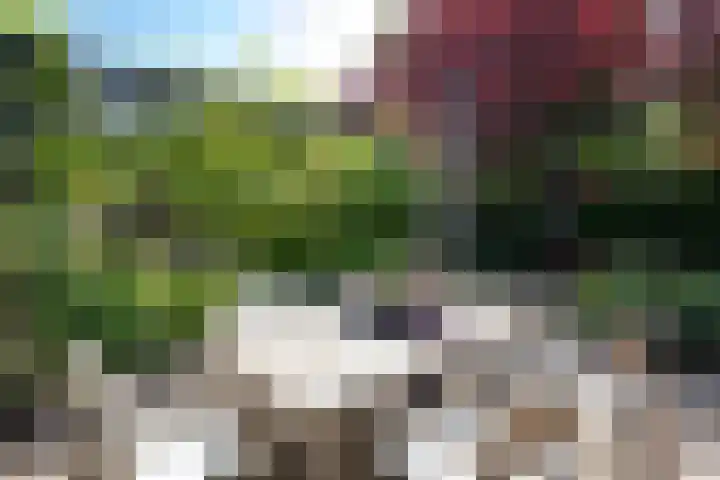 Vloeiweg 80 Oisterwijk thumbnail 35