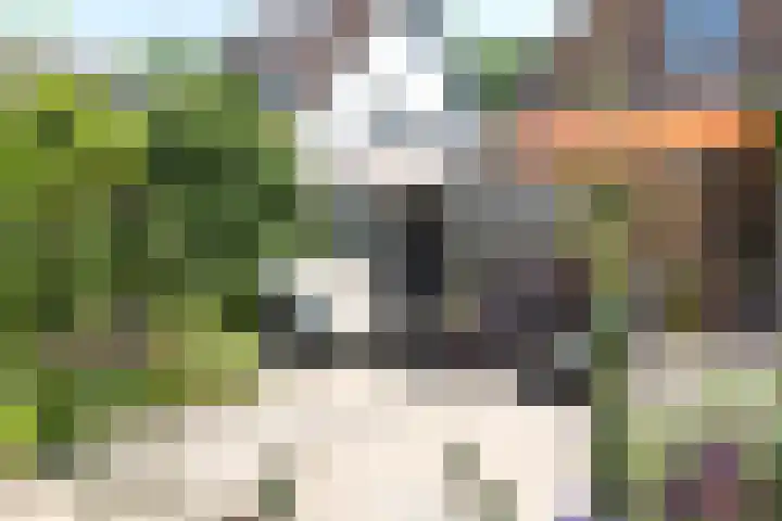 Vloeiweg 80 Oisterwijk thumbnail 36