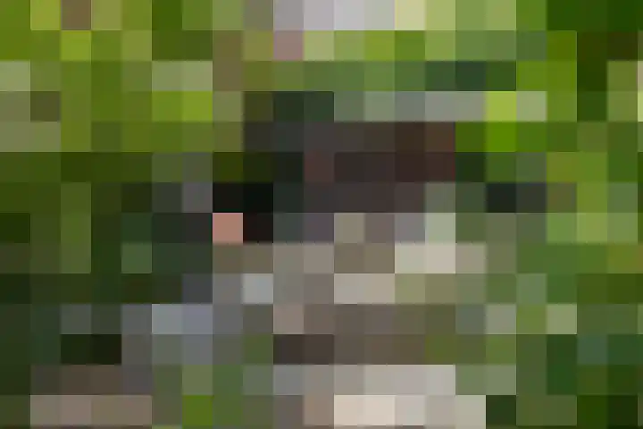 Vloeiweg 80 Oisterwijk thumbnail 37
