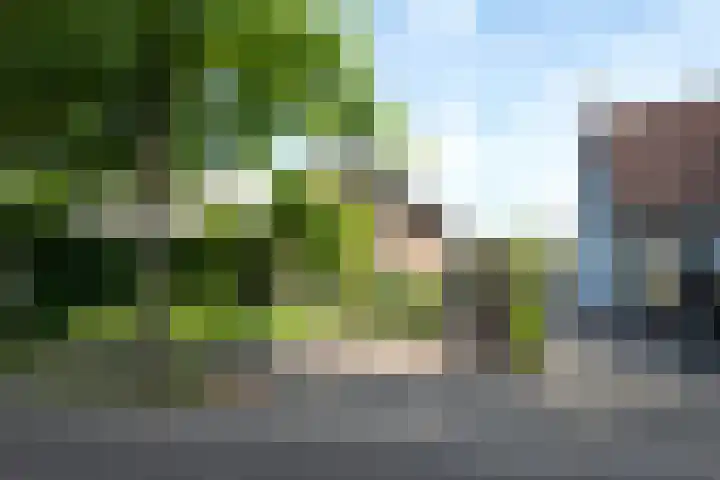 Vloeiweg 80 Oisterwijk thumbnail 38