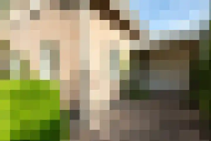 Vloeiweg 80 Oisterwijk thumbnail 39