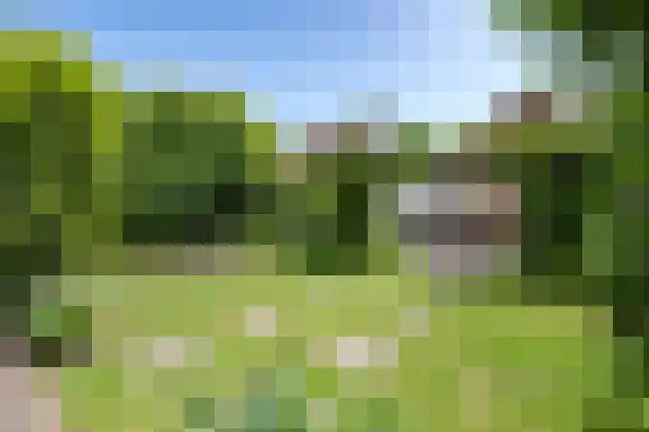 Vloeiweg 80 Oisterwijk thumbnail 4