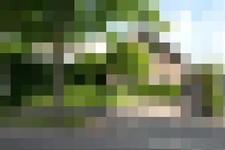 Vloeiweg 80 Oisterwijk thumbnail 40