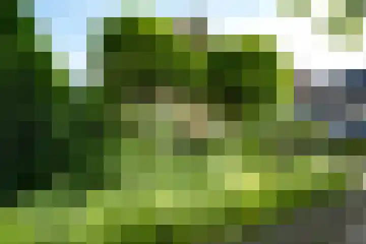 Vloeiweg 80 Oisterwijk thumbnail 41