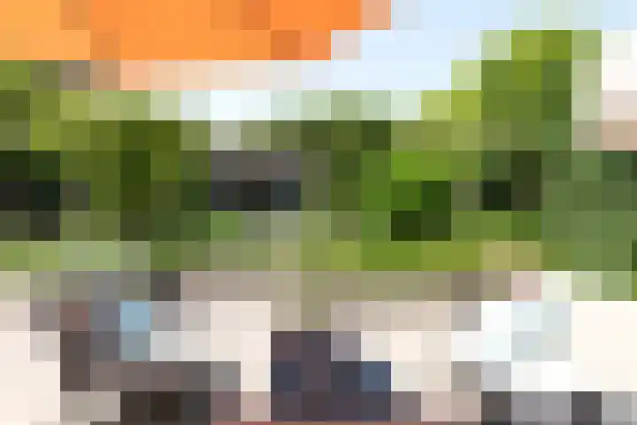 Vloeiweg 80 Oisterwijk thumbnail 5