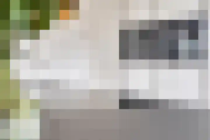 Vloetheuvel 32 Volkel thumbnail 11