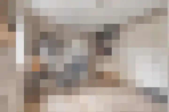 Vloetheuvel 32 Volkel thumbnail 13