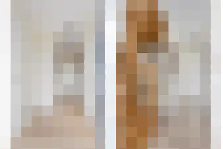 Vloetheuvel 32 Volkel thumbnail 15