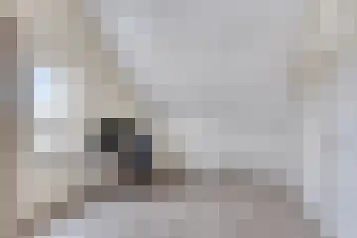 Vloetheuvel 32 Volkel thumbnail 26