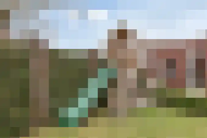 Vloetheuvel 32 Volkel thumbnail 31