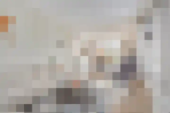 Vloetheuvel 32 Volkel thumbnail 4