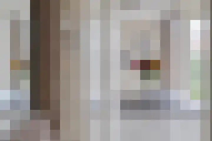 Vloetheuvel 32 Volkel thumbnail 8