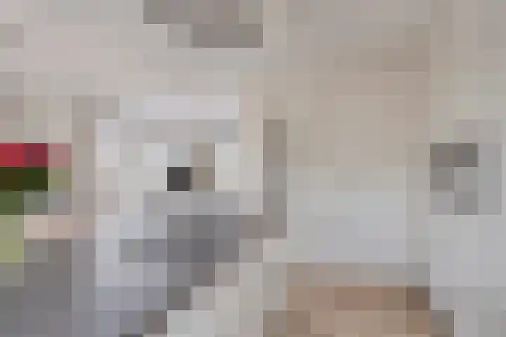 Vloetheuvel 32 Volkel thumbnail 9