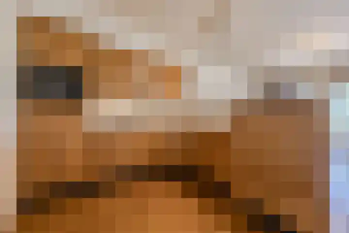 Vloetrand 12 Volkel thumbnail 11
