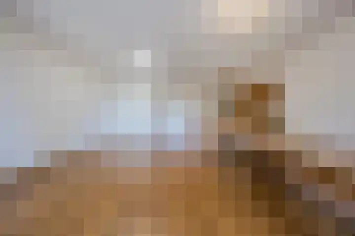 Vloetrand 12 Volkel thumbnail 14