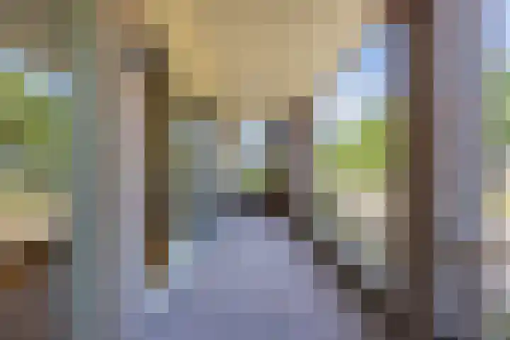 Vloetrand 12 Volkel thumbnail 26